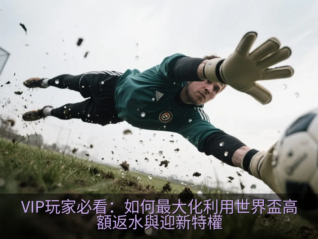 VIP玩家必看：如何最大化利用世界盃高額返水與迎新特權